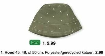 Zeeman Hoed aanbieding