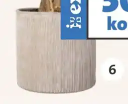 Intratuin Pot Kova aanbieding