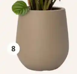 Intratuin Pot Elani aanbieding