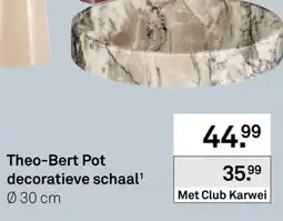 Karwei Theo-Bert Pot decoratieve schaal aanbieding