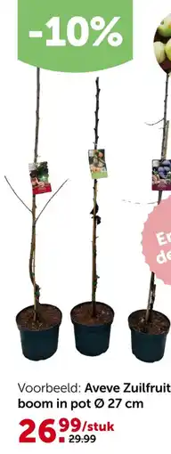 AVEVE Aveve Zuilfruit boom aanbieding