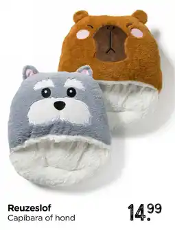 Xenos Capibara of hond aanbieding