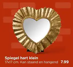 Xenos Spiegel hart klein aanbieding