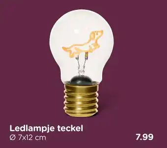 Ledlampje teckel