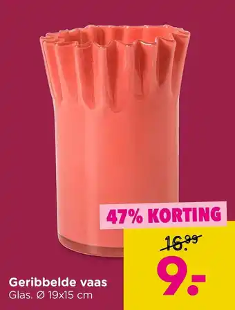 Xenos Geribbelde vaas aanbieding