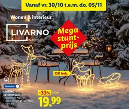 Lidl Livarno 3D-Lichtfiguur aanbieding