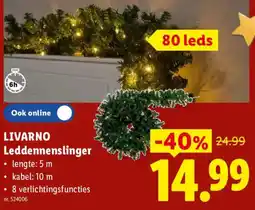 Lidl Livarno leddennenslinger aanbieding