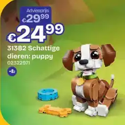 Dreamland Schattige dieren: puppy aanbieding