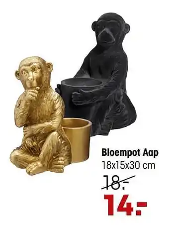 Bloempot aap