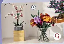 ALDI Bouwsteenset bloemen aanbieding