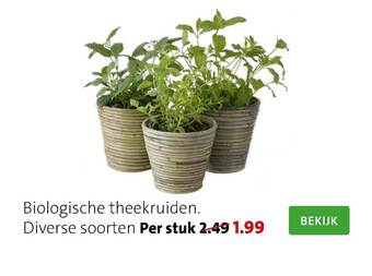 Intratuin Biologische Theekruiden aanbieding