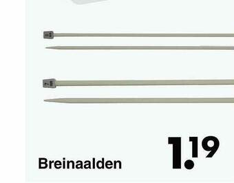 Breinaalden