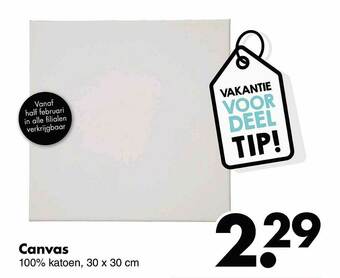 Wibra Canvas aanbieding
