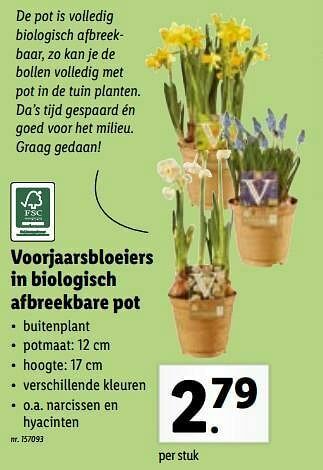 Lidl Voorjaarsbloeiers in biologisch afbreekbare pot aanbieding