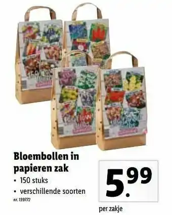 Lidl Bloembollen in papieren zak aanbieding