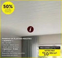 Zelfbouwmarkt Panneau de plafond maestro norway aanbieding