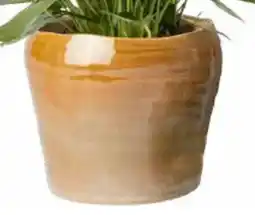 Intratuin Pot Avelin aanbieding