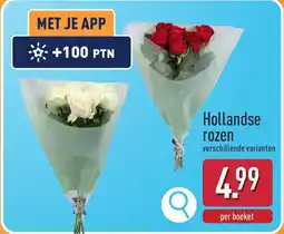 ALDI Hollandse rozen aanbieding