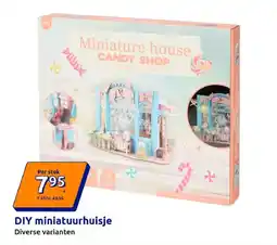 Action DIY miniatuurhuisje aanbieding