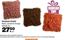Kwantum Kussen Furlo aanbieding