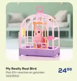 Supra Bazar My Really Real Bird aanbieding
