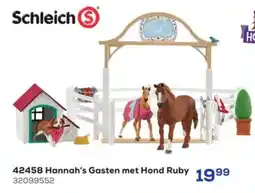 Supra Bazar Hannah's Gasten met Hond Ruby aanbieding
