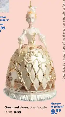 Intratuin Ornament dame aanbieding