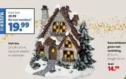 Intratuin Huis bos aanbieding
