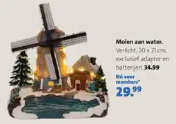 Intratuin Molen aan water aanbieding