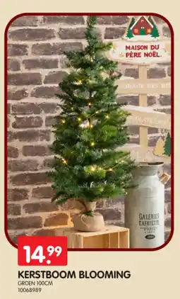 Yess Kerstboom blooming aanbieding
