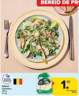 Carrefour Witloof Carrefour aanbieding