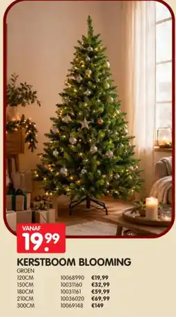 Yess Kerstboom blooming aanbieding