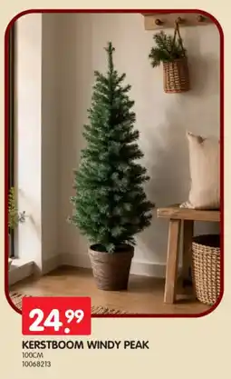 Yess Kerstboom windy peak aanbieding