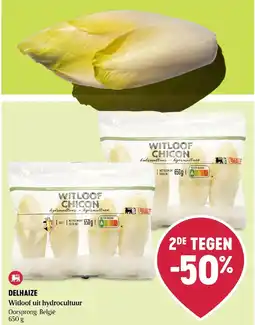 Delhaize Witloof uit hydrocultuur aanbieding