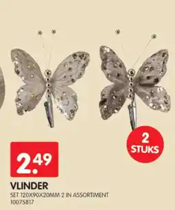 Yess Vlinder aanbieding