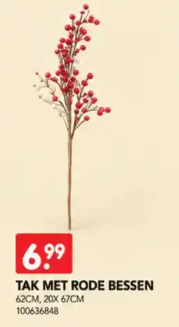 Yess Tak met rode bessen aanbieding