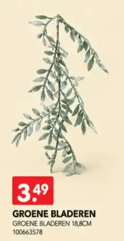 Yess Groene bladeren aanbieding