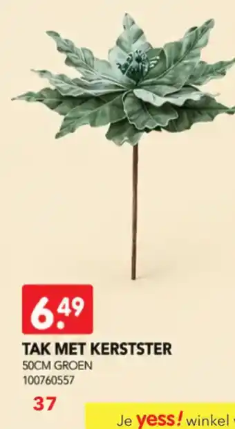 Tak met kerstster