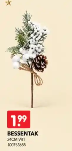 Yess Bessentak aanbieding