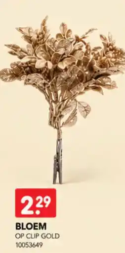 Yess Op clip gold aanbieding