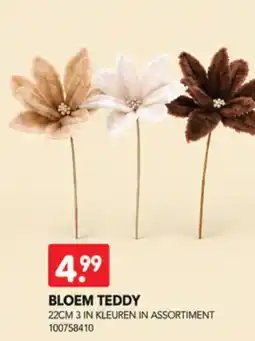 Yess Bloem teddy aanbieding