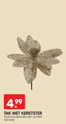Yess Tak met kerstster aanbieding