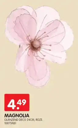 Yess Magnolia aanbieding