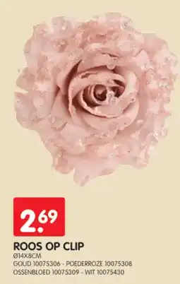 Yess Roos op clip aanbieding