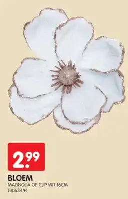 Yess Bloem aanbieding