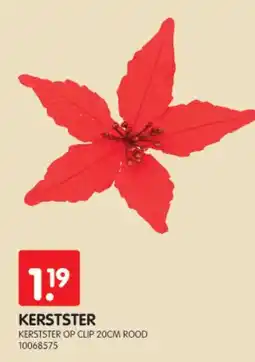 Yess kerstster aanbieding