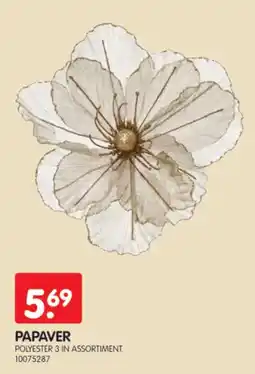 Yess Papaver aanbieding