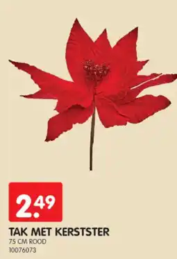Yess Tak met kerstster aanbieding
