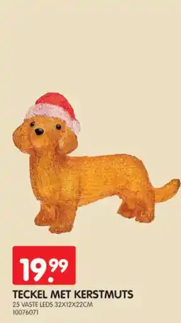 Yess teckel met kerstmuts aanbieding