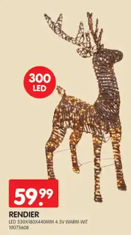 Yess Rendier aanbieding